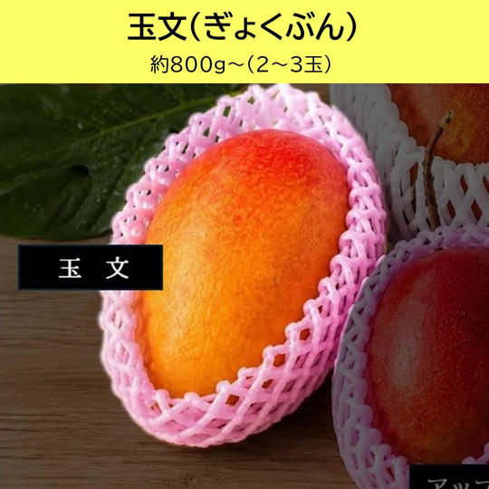 玉文（ぎょくぶん）
