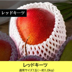 【通常サイズ】レッドキーツ