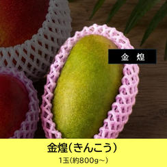 金煌（きんこう）