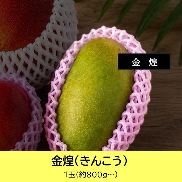 金煌（きんこう）