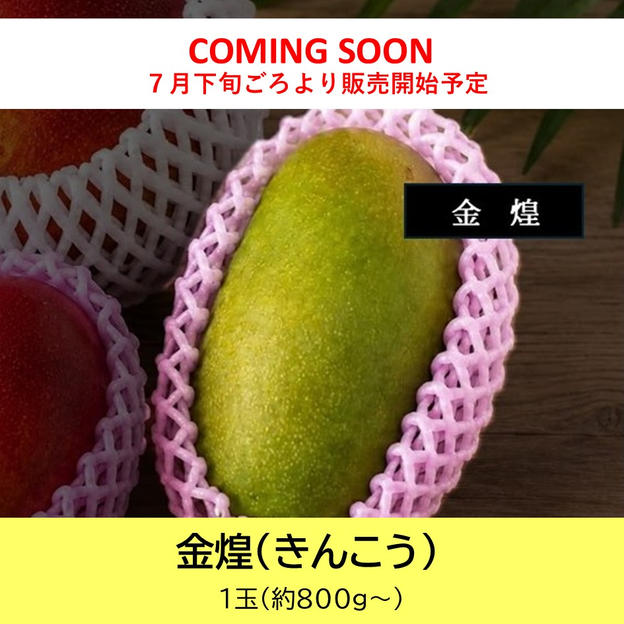 金煌（きんこう）