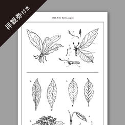 【CF限定】一休寺オリジナル「いきもの」制作構想手帳の絵柄を用いた手ぬぐい