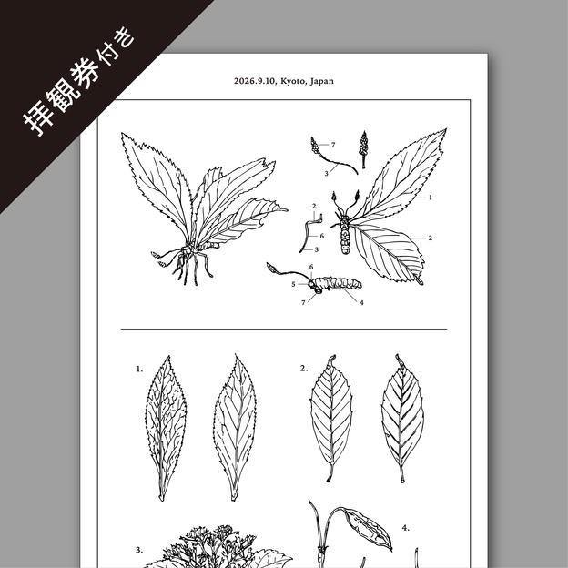 【CF限定】一休寺オリジナル「いきもの」制作構想手帳の絵柄を用いた手ぬぐい
