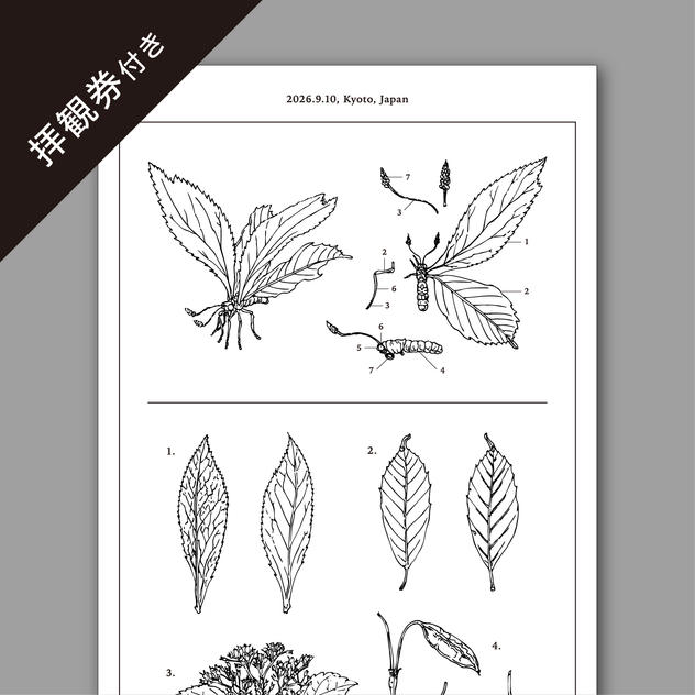 【CF限定】一休寺オリジナル「いきもの」制作構想手帳の絵柄を用いた手ぬぐい