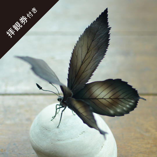 【限定1点】一休寺オリジナル「いきもの」