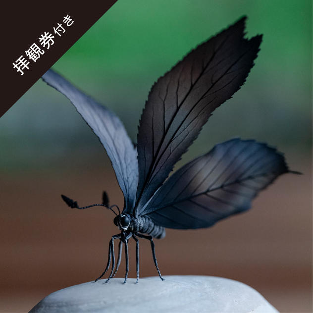 【限定1点】一休寺オリジナル「いきもの」