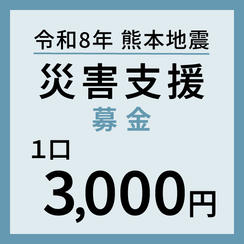 1口3,000円
