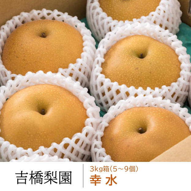 幸水３kg箱（5〜9個）