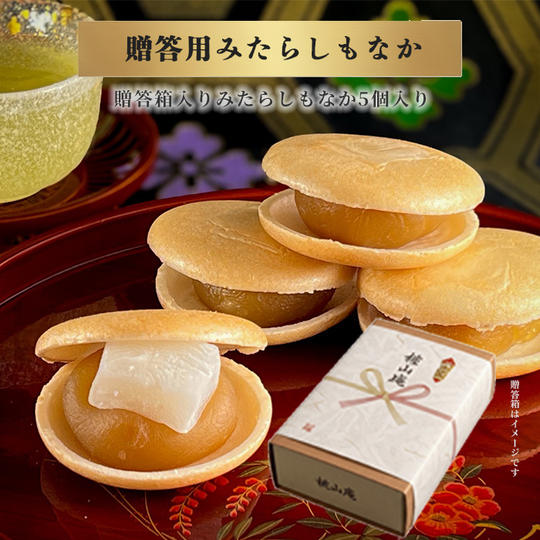 【贈答箱】みたらしもなか5個入り