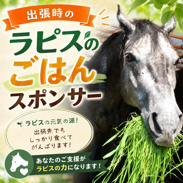 出張時のラピスのごはんスポンサー