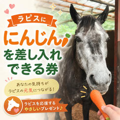 ラピスに、にんじんを差し入れできる券