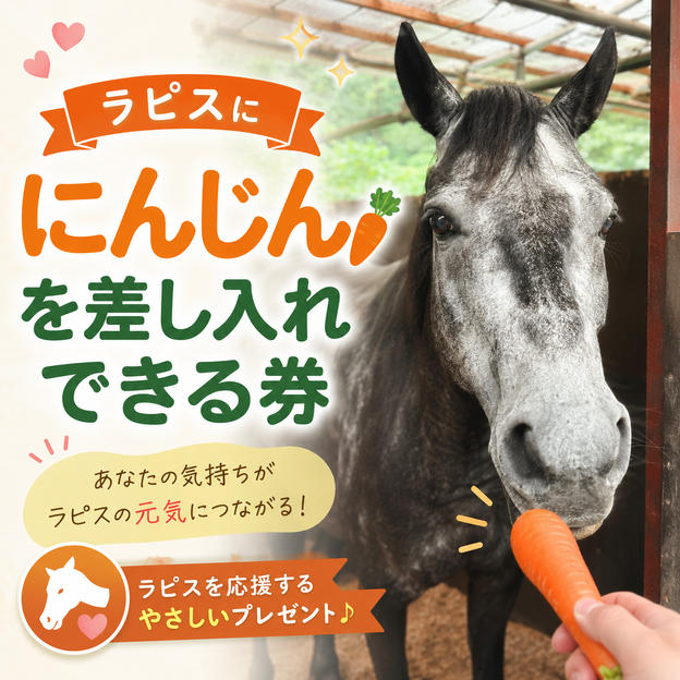 ラピスに、にんじんを差し入れできる券