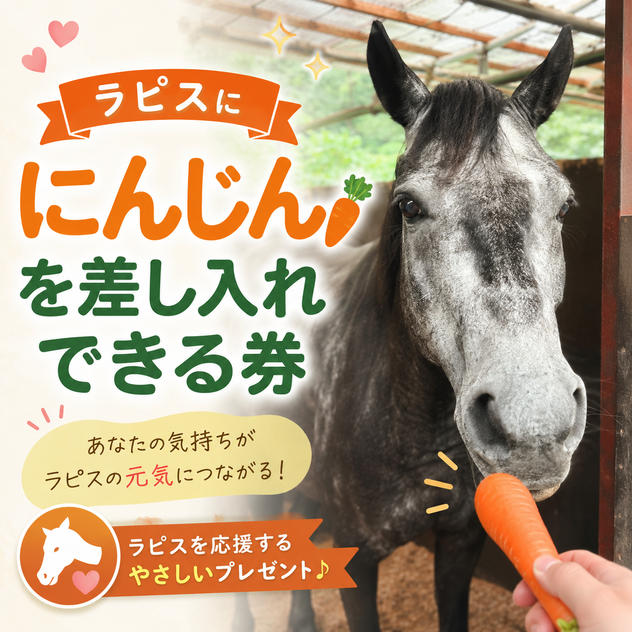 ラピスに、にんじんを差し入れできる券