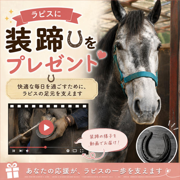 ラピスに装蹄をプレゼントする券