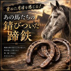 重ねた月日を感じる！あの馬たちの錆びついた蹄鉄