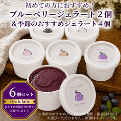 【初めての方におすすめ！｜6個セット】ブルーベリーのジェラート2個＆季節のおすすめジェラート4個