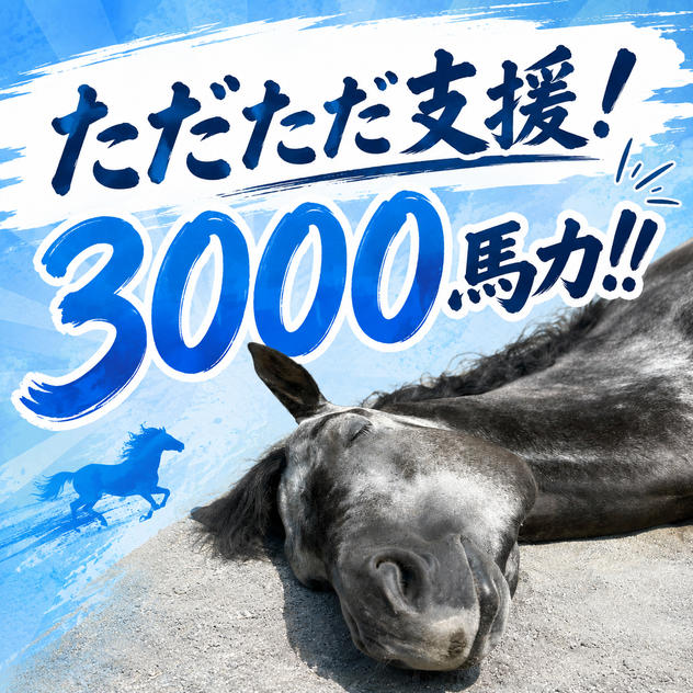 ただただ支援！3000馬力！！