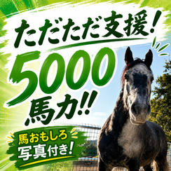 ただただ支援！5000馬力！！馬おもしろ写真付き！