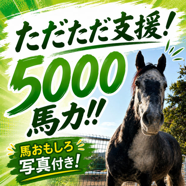 ただただ支援！5000馬力！！馬おもしろ写真付き！