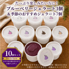 【たっぷり楽しみたい方に！｜10個セット】自社農園育ちブルーベリーのジェラート3個＆季節のおすすめジェラート7個