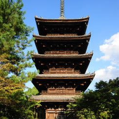 仁和寺を訪ねる｜拝観券付き応援プラン