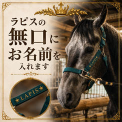ラピスの無口にあなたのお名前をお入れします