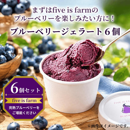 【まずはfive is farmのブルーベリーを楽しみたい方に｜6個セット】ブルーベリージェラート6個