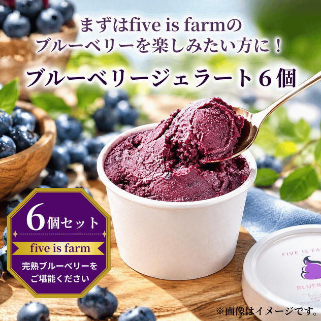 【まずはfive is farmのブルーベリーを楽しみたい方に｜6個セット】ブルーベリージェラート6個