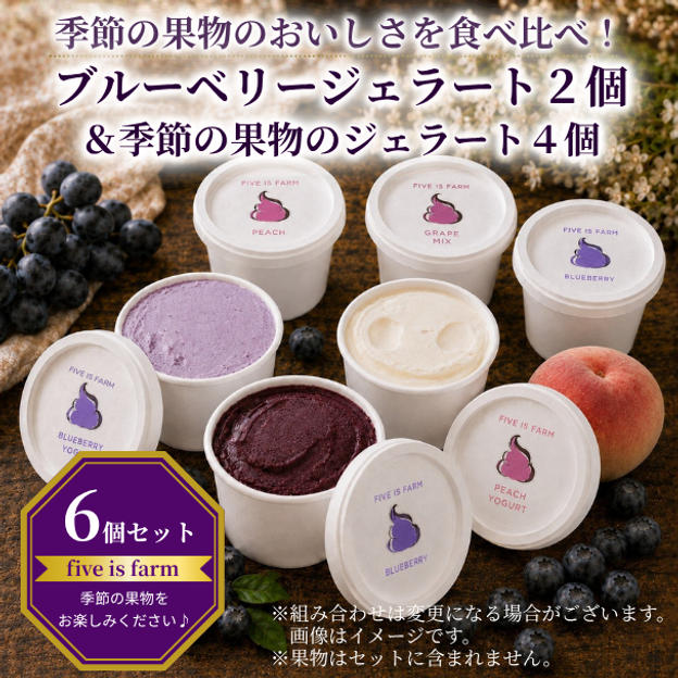 【季節の果実のおいしさを食べ比べ！｜6個セット】five is farmで育てた季節の果物のジェラートセット