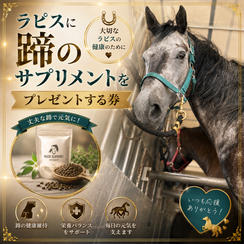 ラピスに蹄のサプリメントをプレゼントする券