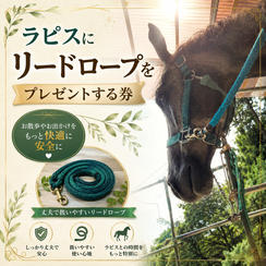 ラピスにリードロープをプレゼントする券