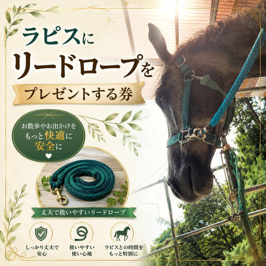 ラピスにリードロープをプレゼントする券
