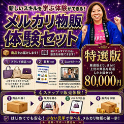 メルカリ物販体験セット【特選版】 厳選版より、さらに上位の商品を厳選した上級セット
