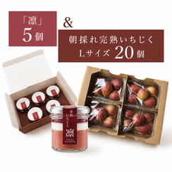 【数量限定】プレミアムプリン「凛」5個＋朝採れ完熟いちじくセット