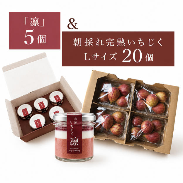 【数量限定】プレミアムプリン「凛」5個＋朝採れ完熟いちじくセット