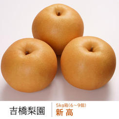 新高５kg箱（６～９個）