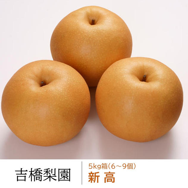 新高５kg箱（６～９個）