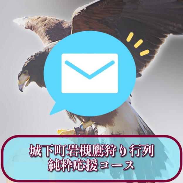 城下町岩槻鷹狩り行列純粋応援コース