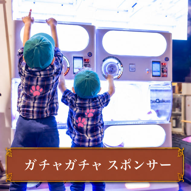 【各会場2枠限定】ガチャガチャ スポンサー