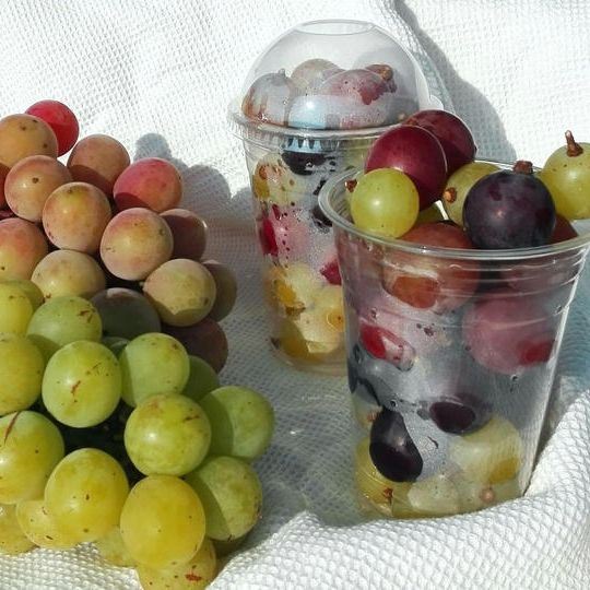 【送料無料】はじまりのぶどう×Ｃupぶどう＆ゼリーおやつ教室便