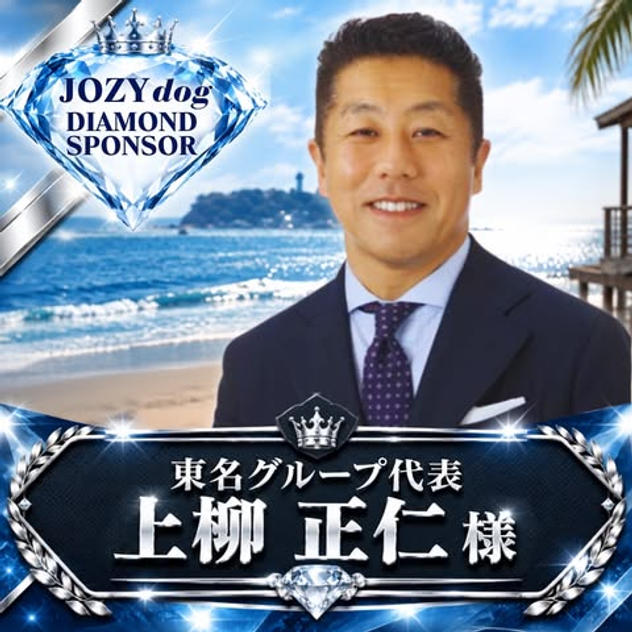 上柳正仁様専用リターン（ダイヤモンド）
