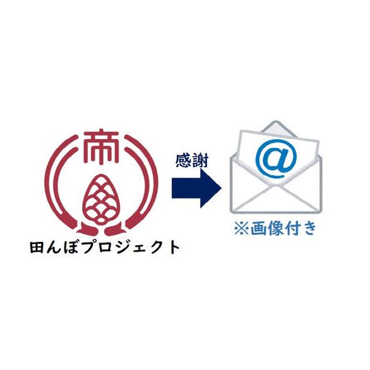 感謝のメール（写真付き）