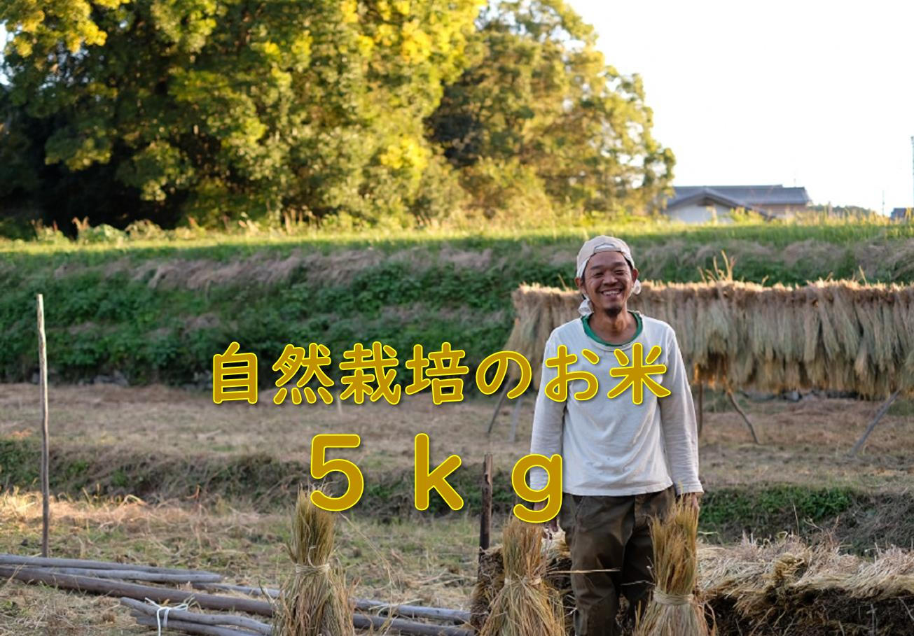 中学生が泥にまみれて】古代米田んぼプロジェクト【コロナに負けない