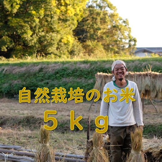 明日香村自然栽培のお米5㎏と古代米観賞用稲、感謝のお手紙と活動レポート