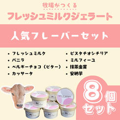 人気フレーバーセット