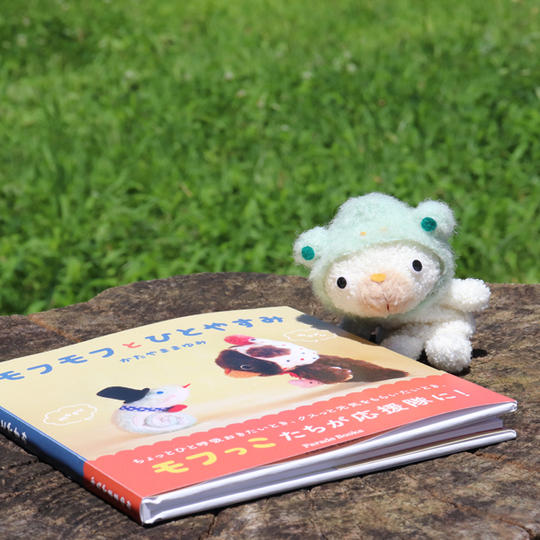 かえるになりたかったくま指人形＋写真絵本セット