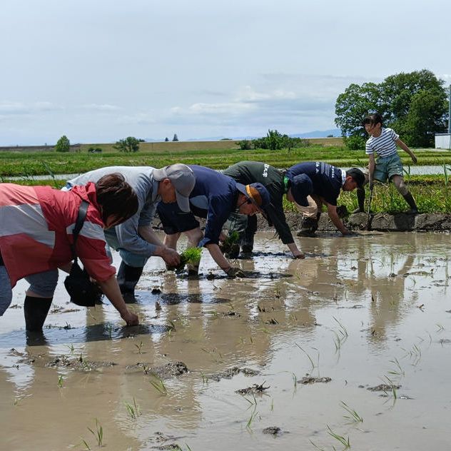 塚本郷での田植え体験（団体30名まで）【開催予定日：2027年5月～6月】
