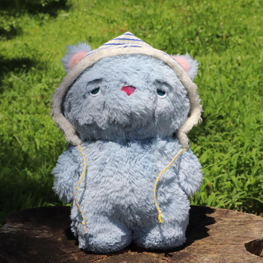 帽子でっぷりねこ＋写真絵本セット