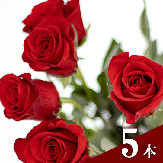 展示会場に赤バラ【5本】とメッセージを贈る
