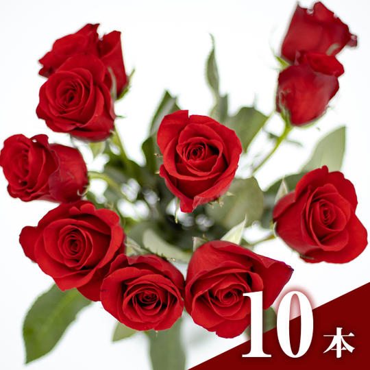 展示会場に赤バラ【10本】とメッセージを贈る